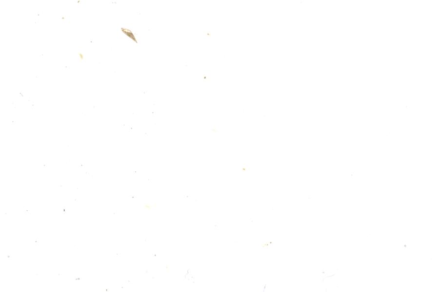 Image 48